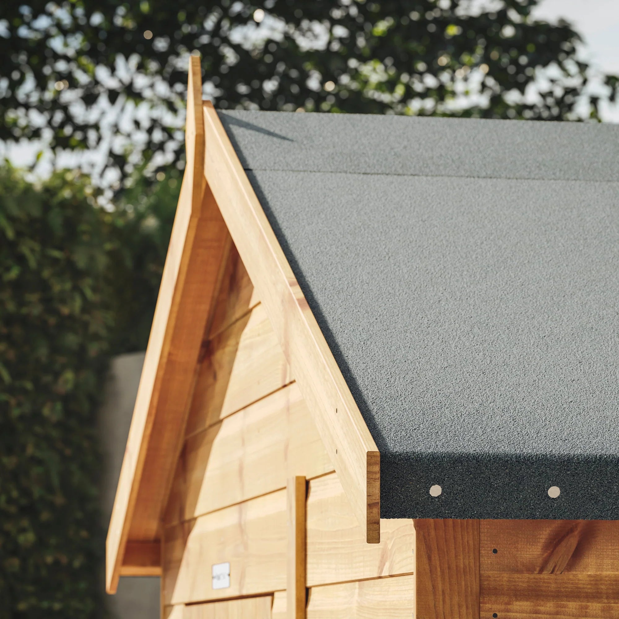 Apex Storage Shed 2x6